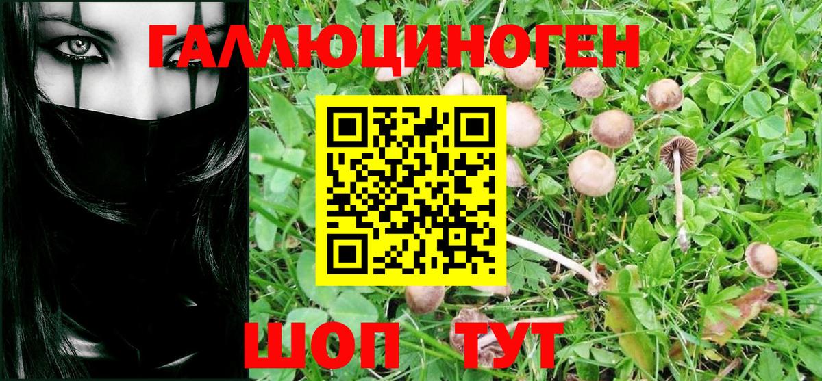 Псилоцибиновые грибы MAGIC MUSHROOMS Черемхово